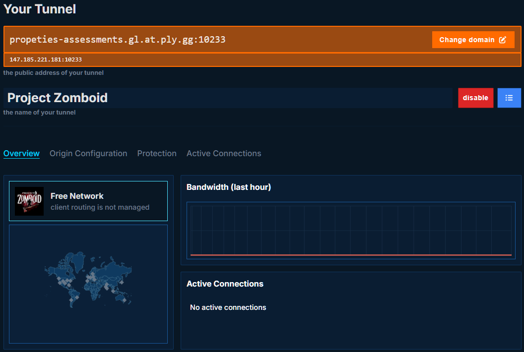 playit tunnel address